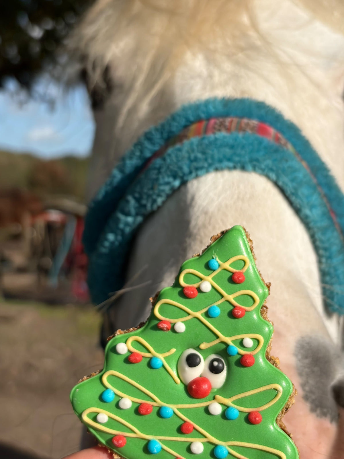 Konska Cukierenka - Pony Bueno Luxe Paardenkoek Kerstboom