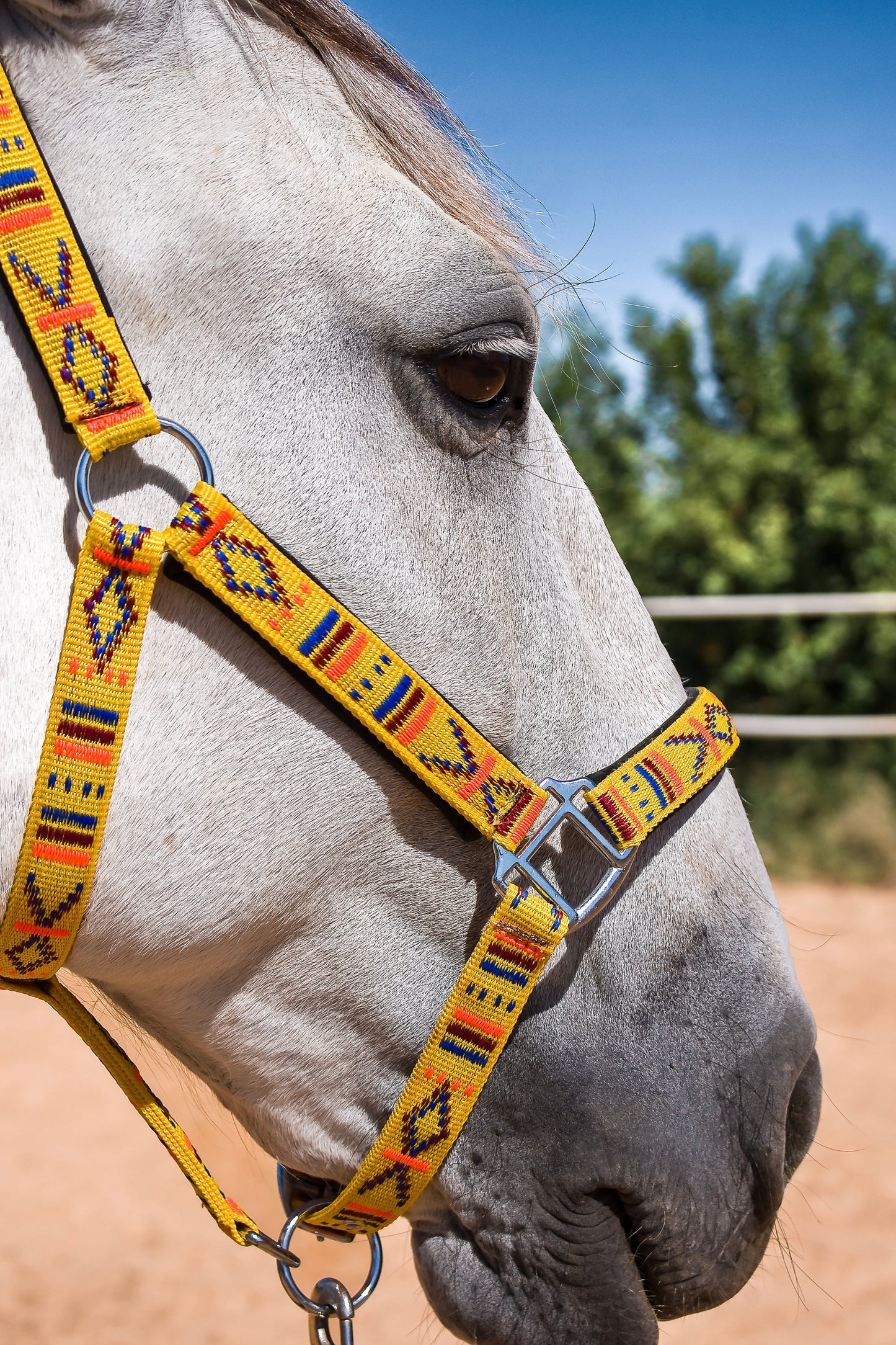 FMH - Geborduurd nylon halster met padding ‘Nomad Spirit Solar’