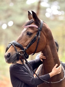 Design Your Own! - 
Moeders Mooiste Frontriemen - Eigen ontwerp frontriem