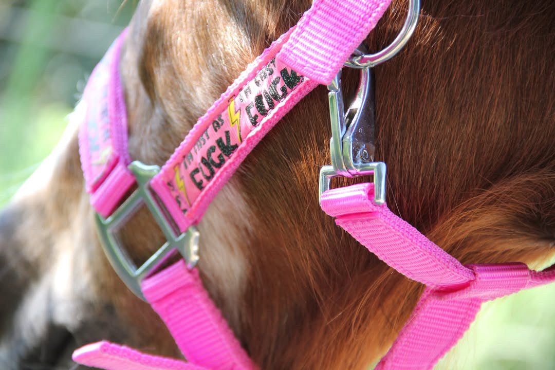 FMH - Nylon roze halster ‘Fast as F*CK’