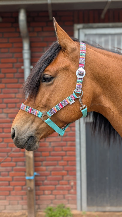 Happy Halsters x FMH - Colourful Panther Exclusive halter various colors
