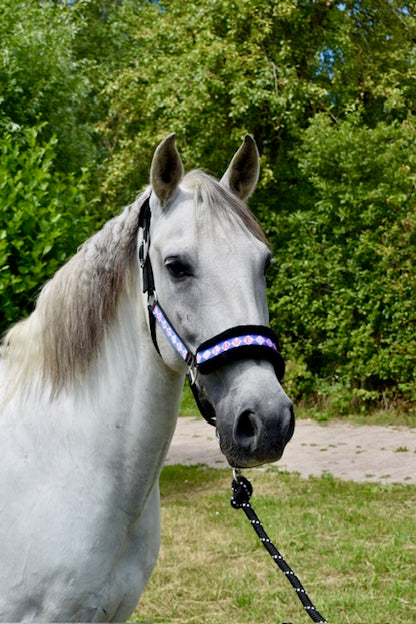 Happy Halsters x FMH - Love is Love Exclusive Halfter (bunt) verschiedene Farben