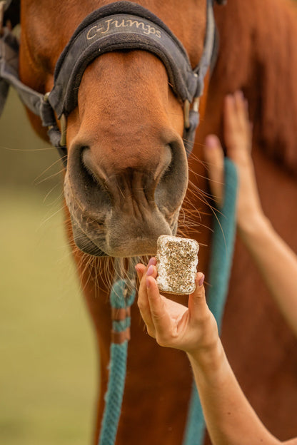 The Horse Tea Company - Paardenkoekjes HealTea Summer Biscuits met icing 3st