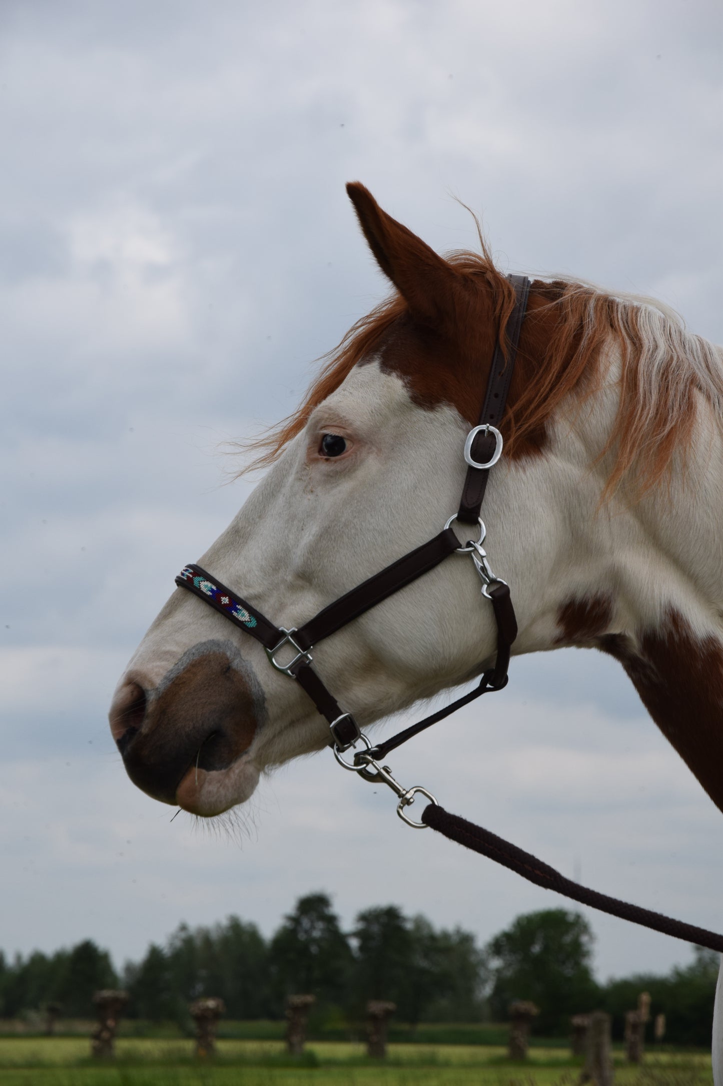 FMH - Licol en cuir cognac avec perles ‘Beaded Bronco Bluey’ bleu/turquoise/blanc
