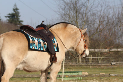 FMH - Mix & Match Bundle - Complete Western set Show blanket + NeoPro boots -20%