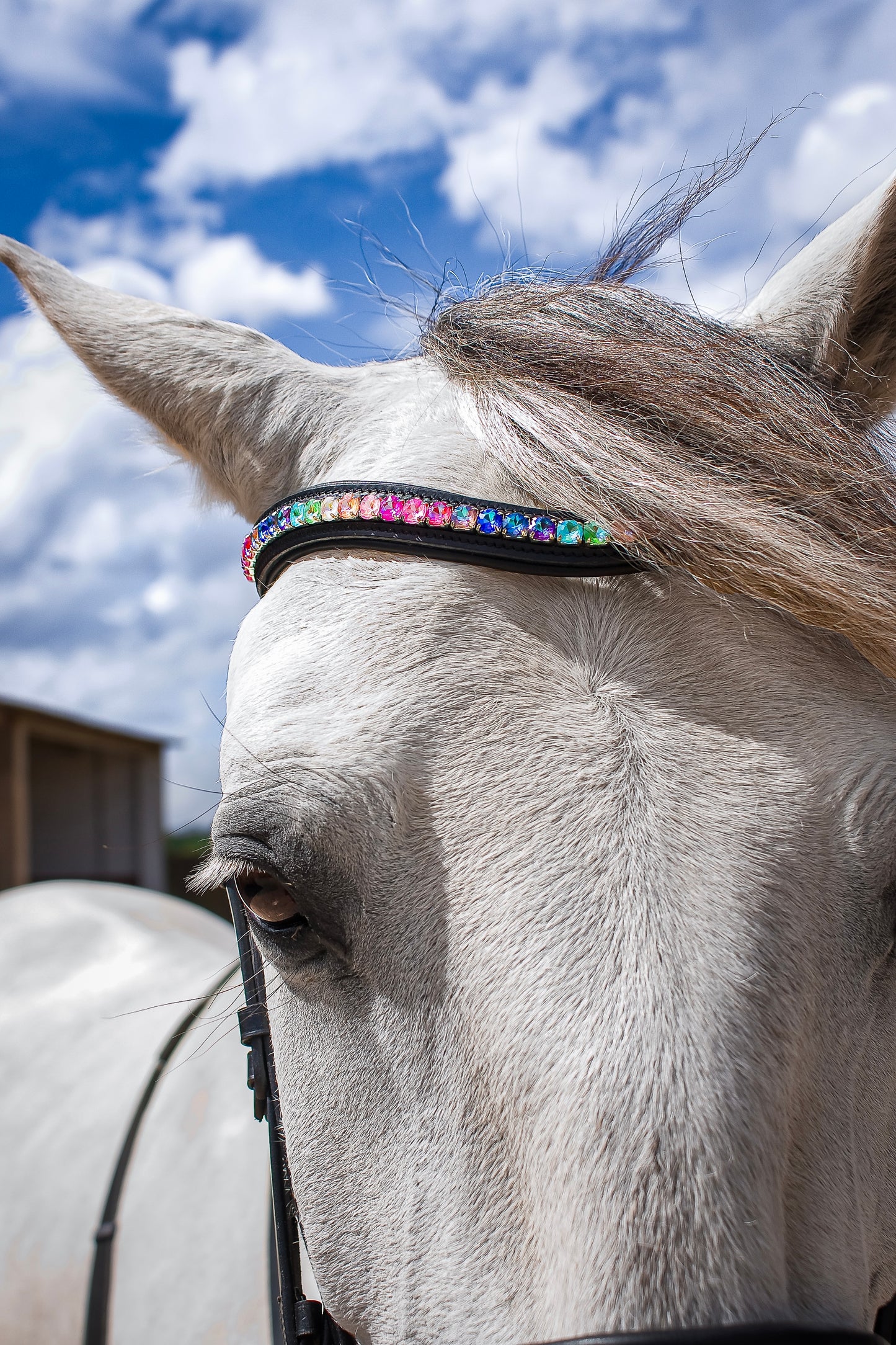 FMH - Frontriem ‘Rainbow Road’ met steentjes in regenboog kleuren