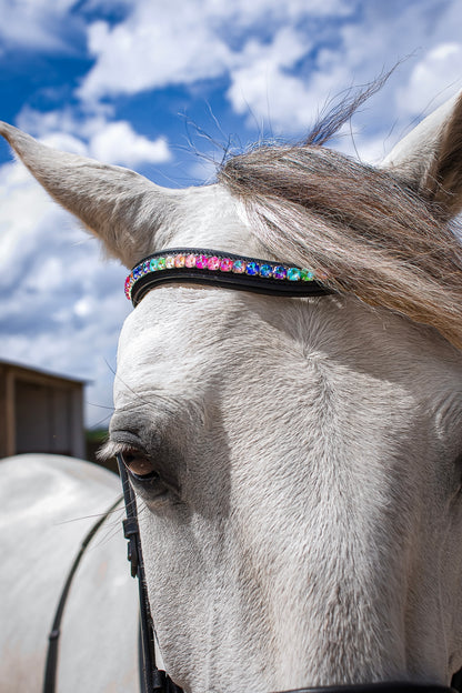 FMH - Browband ‘Rainbow Road’ with Rainbow-Colored Stones