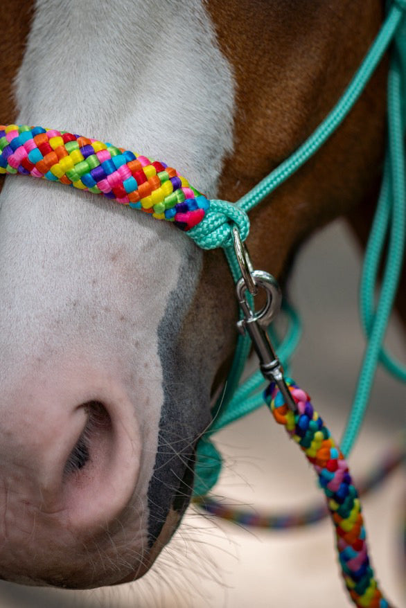 Horse Rope Shop - Rope halter set riding halter + reins 'Rainbow' mint