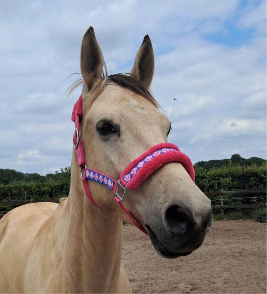 Happy Halsters x FMH - Love is Love Exclusive halster (bont) div. kleuren