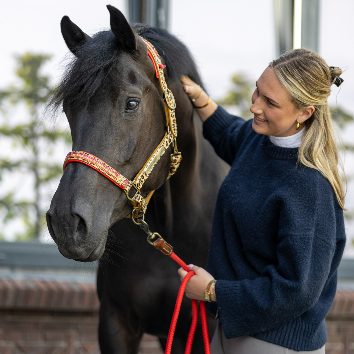 DWAM - Luxe buffellederen halster met luipaardprint en gekleurde details Gypsy Horse