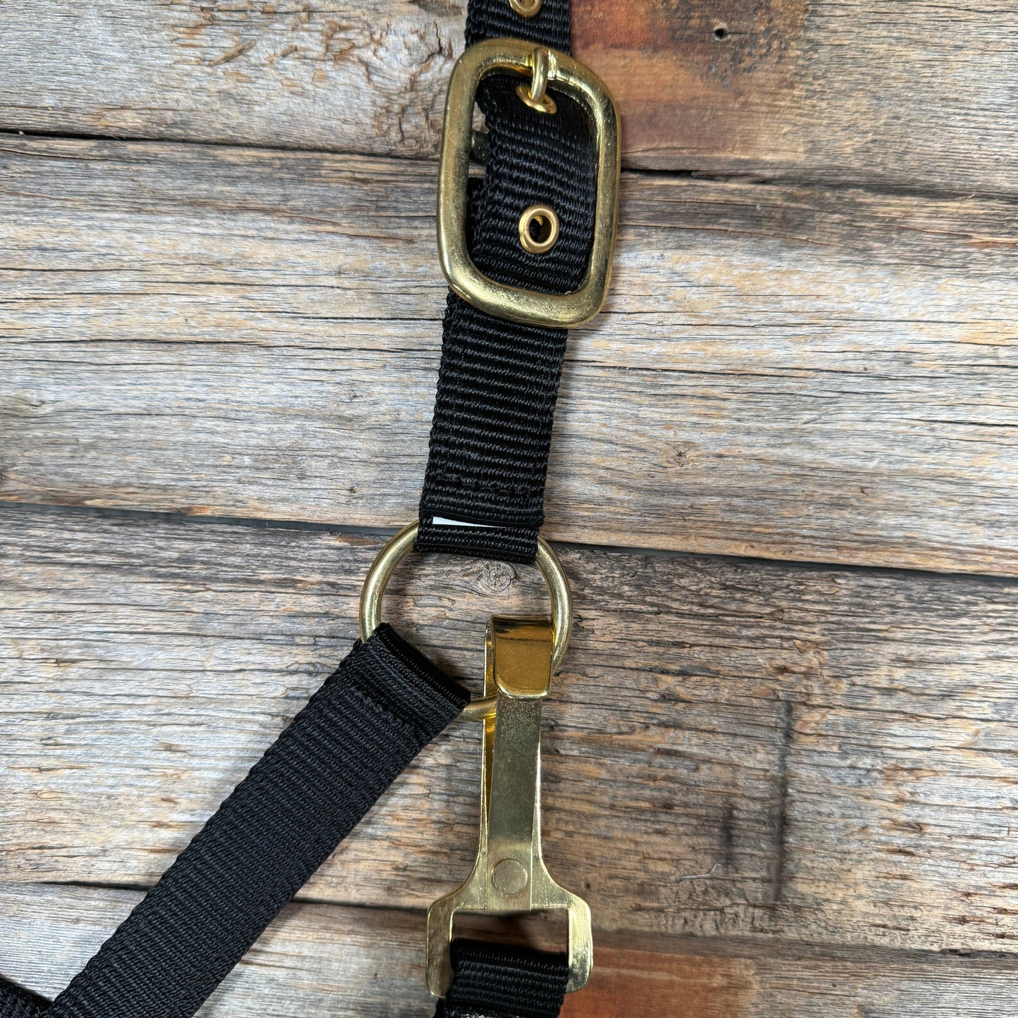 Rodeo Drive - Zwart nylon halster met neusriem luxe patroon van koeienhuid