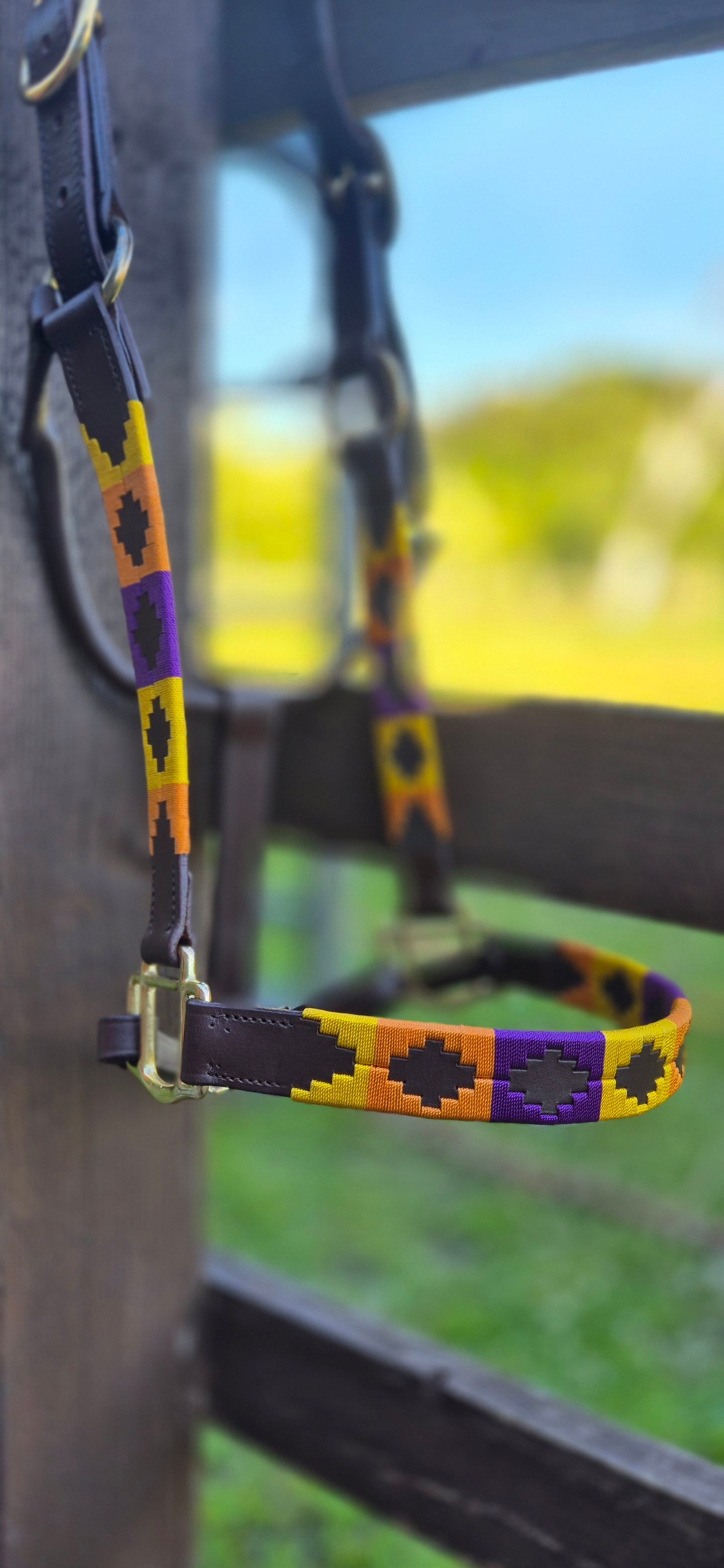 FMH - Capestro polo in pelle Havana ‘Polo Vaquero Sunny’ giallo/arancione/viola