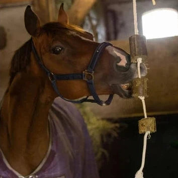 Lax - Geperste blokken luzerne aan Speeltouw voor Paarden