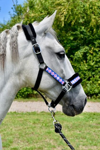 Happy Halsters x FMH - Love is Love Exclusive Halfter (bunt) verschiedene Farben