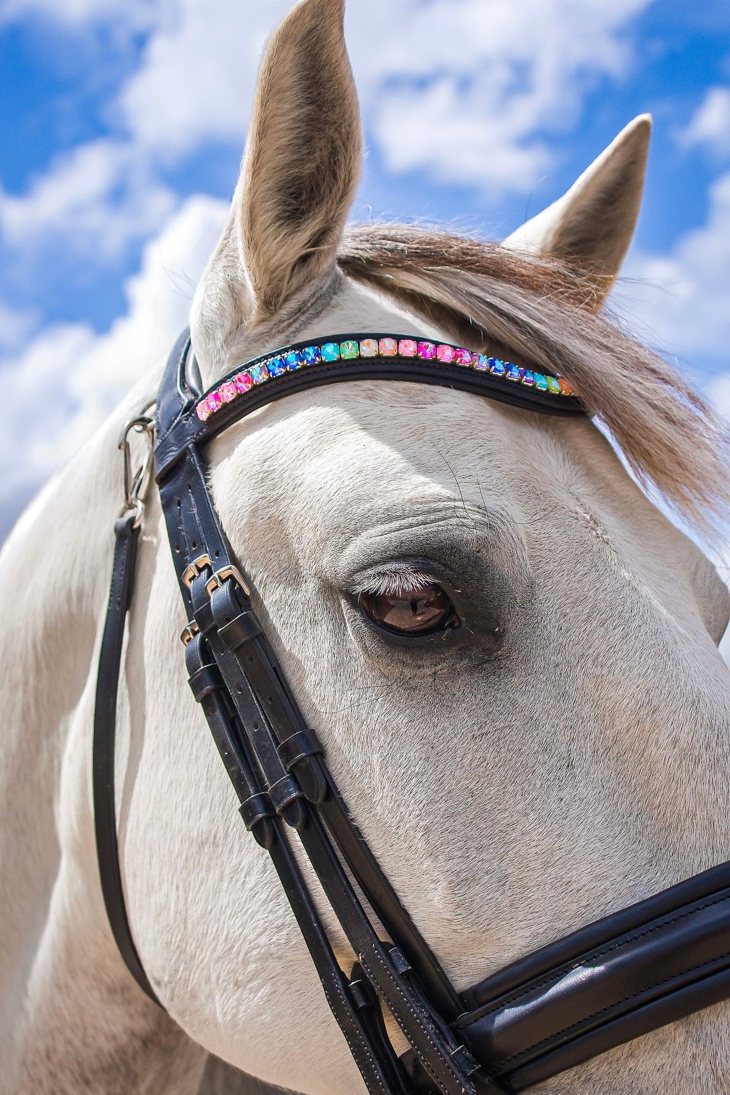 FMH - Frontriem ‘Rainbow Road’ met steentjes in regenboog kleuren