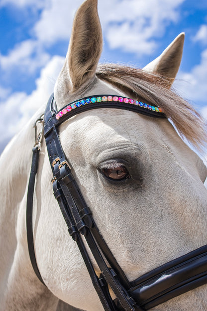 FMH - Browband ‘Rainbow Road’ with Rainbow-Colored Stones