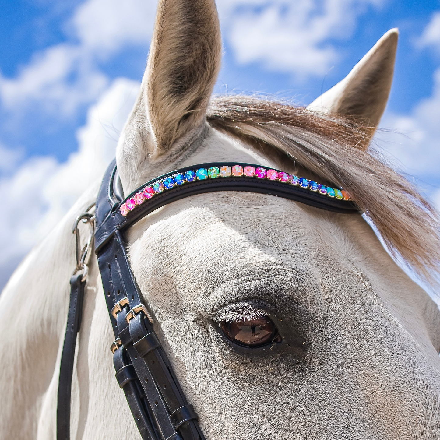 FMH - Frontriem ‘Rainbow Road’ met steentjes in regenboog kleuren