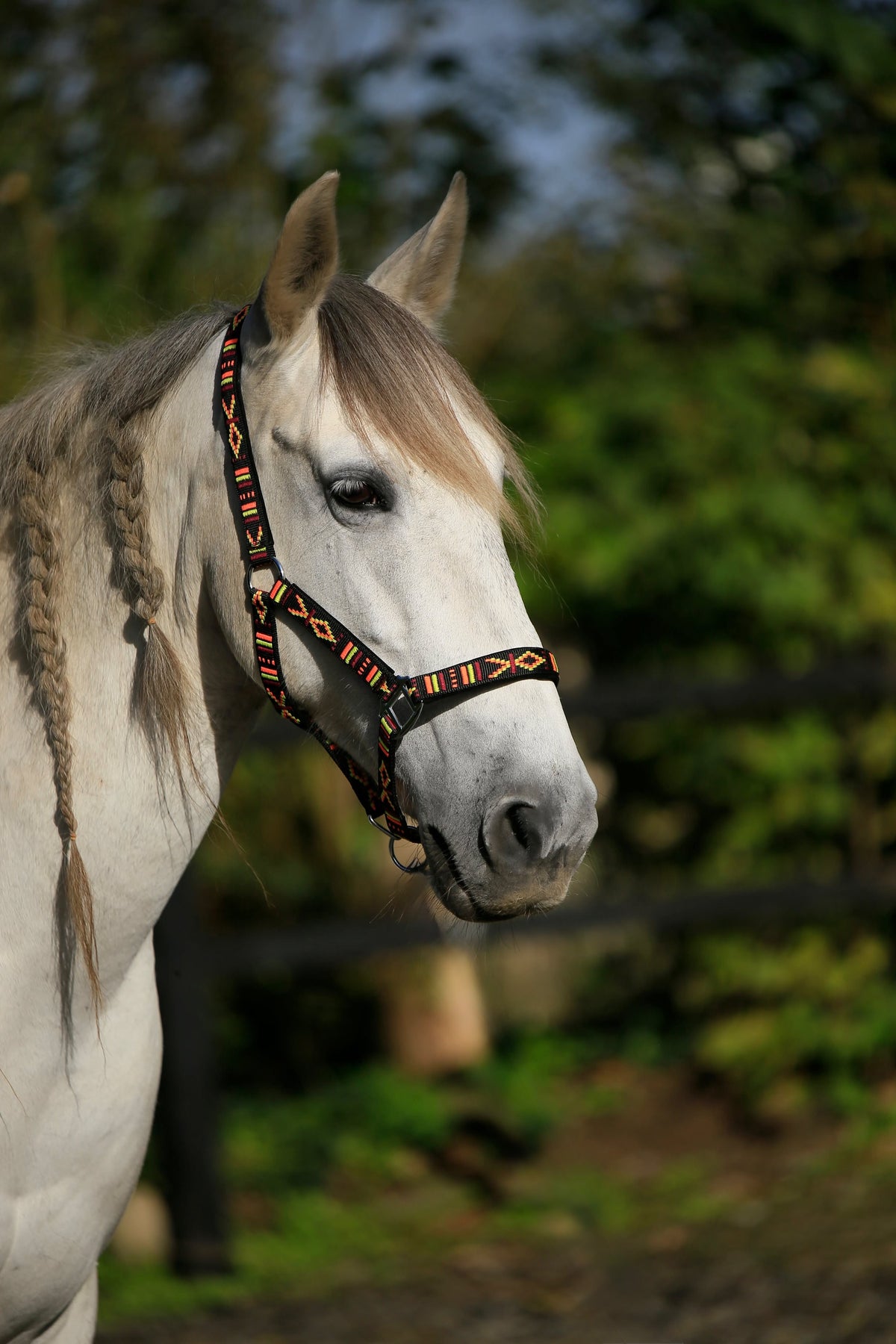 FMH - Geborduurd nylon halster met padding ‘Nomad Spirit Original’