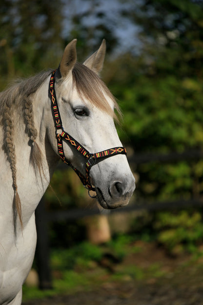 FMH - Geborduurd nylon halster met padding ‘Nomad Spirit Original’