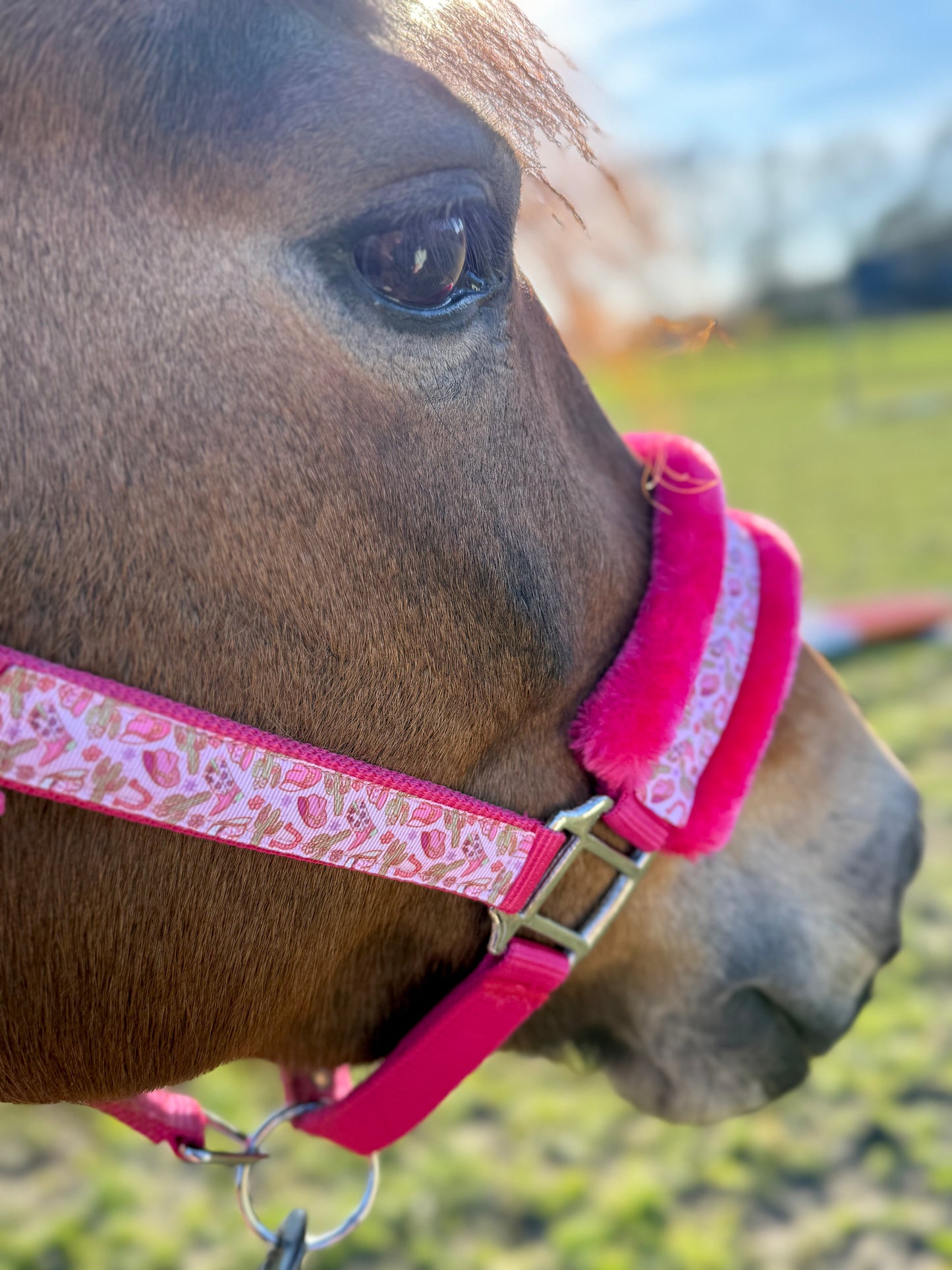 Happy Halsters x FMH - Capestro Pink Cowgirl Exclusive (pelliccia) vari colori