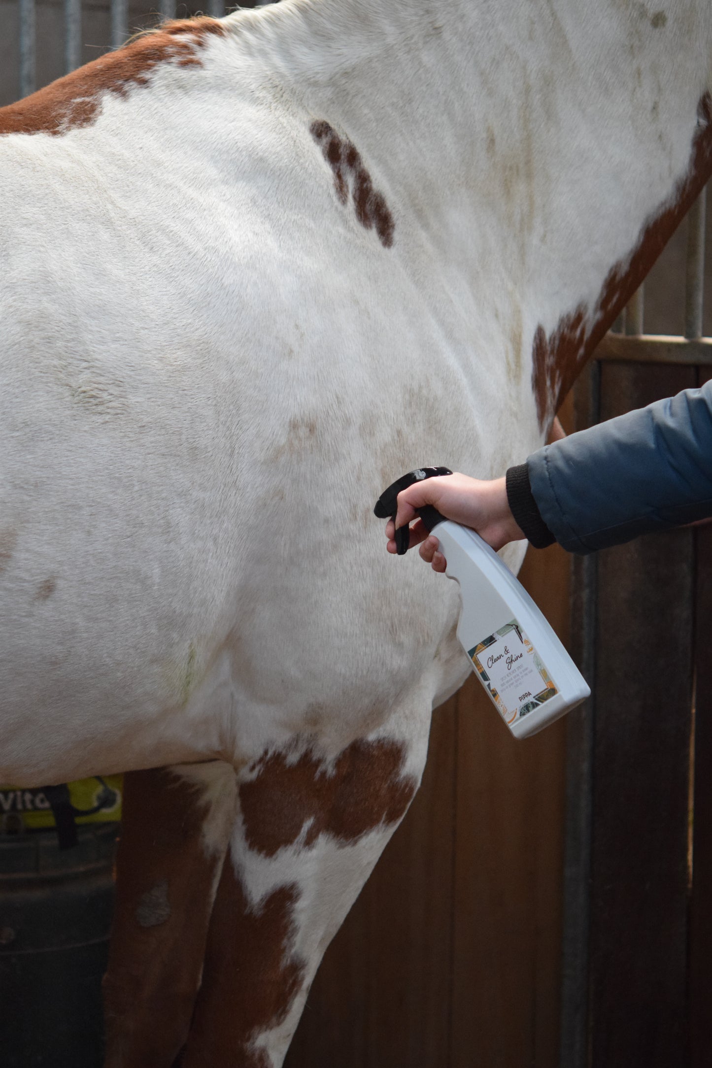 PIPPA - Spray Clean & Shine per rimuovere macchie