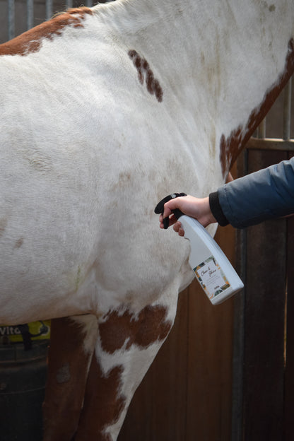 PIPPA - Clean & Shine Fleckenentferner Spray