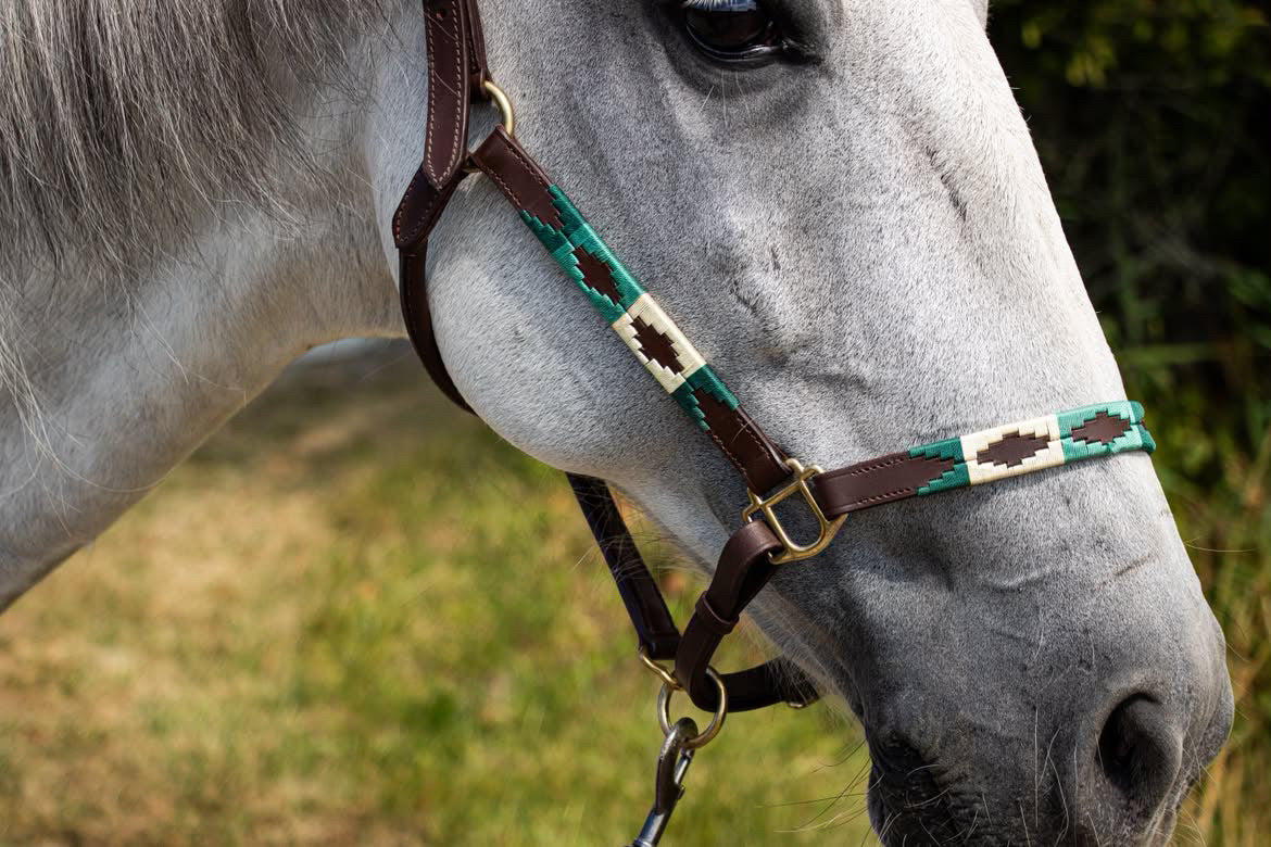 FMH - Havana Leder Polo Halfter ‘Polo Vaquero Seafoam’ Emerald/Beige