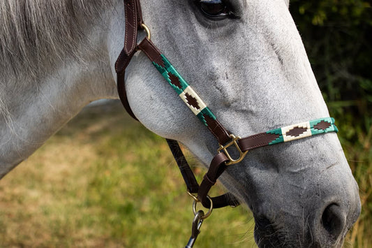 FMH - Havana lederen polo halster ‘Polo Vaquero Seafoam’