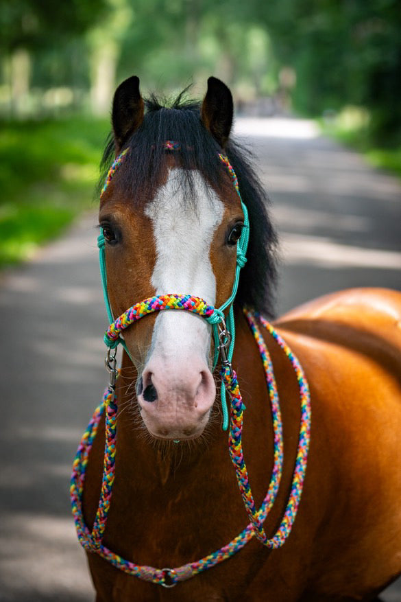 Horse Rope Shop - Rope halter set riding halter + reins 'Rainbow' mint