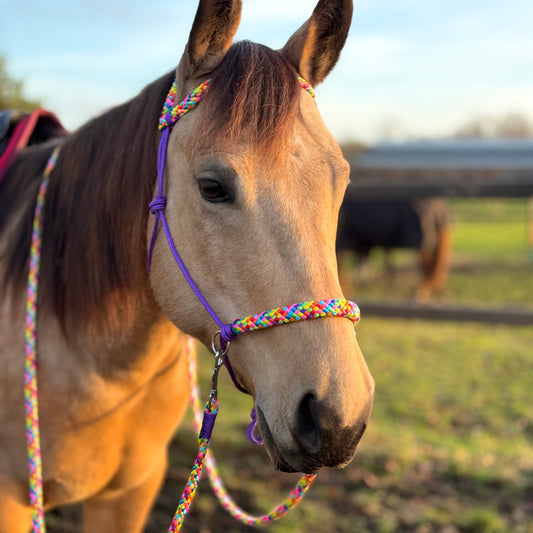 Het Paardenatelier - Ensemble licol corde + rênes ‘Rainbow’ violet