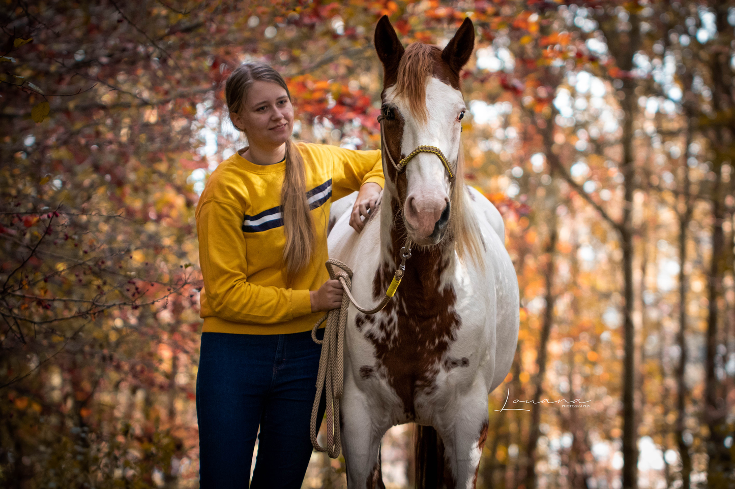 Het Paardenatelier - Set de cabestro de cuerda Azar con cuerda de cabestro 2m beige con amarillo