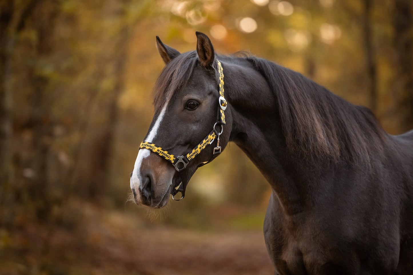 Happy Halsters - Zwart Warning halster