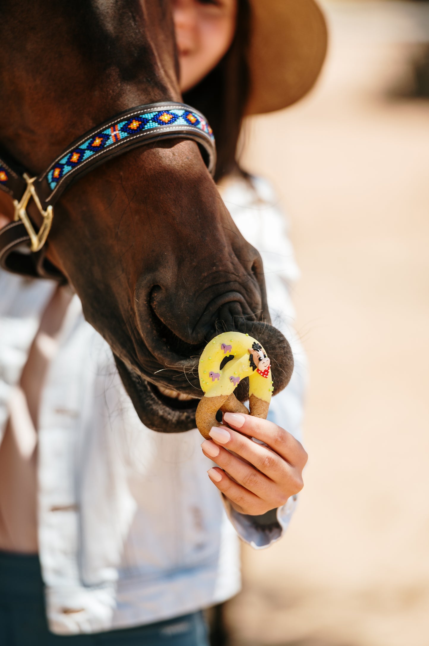 OP=OP - Candy Horse - The Farm Limited Collection - Versierde pretzels