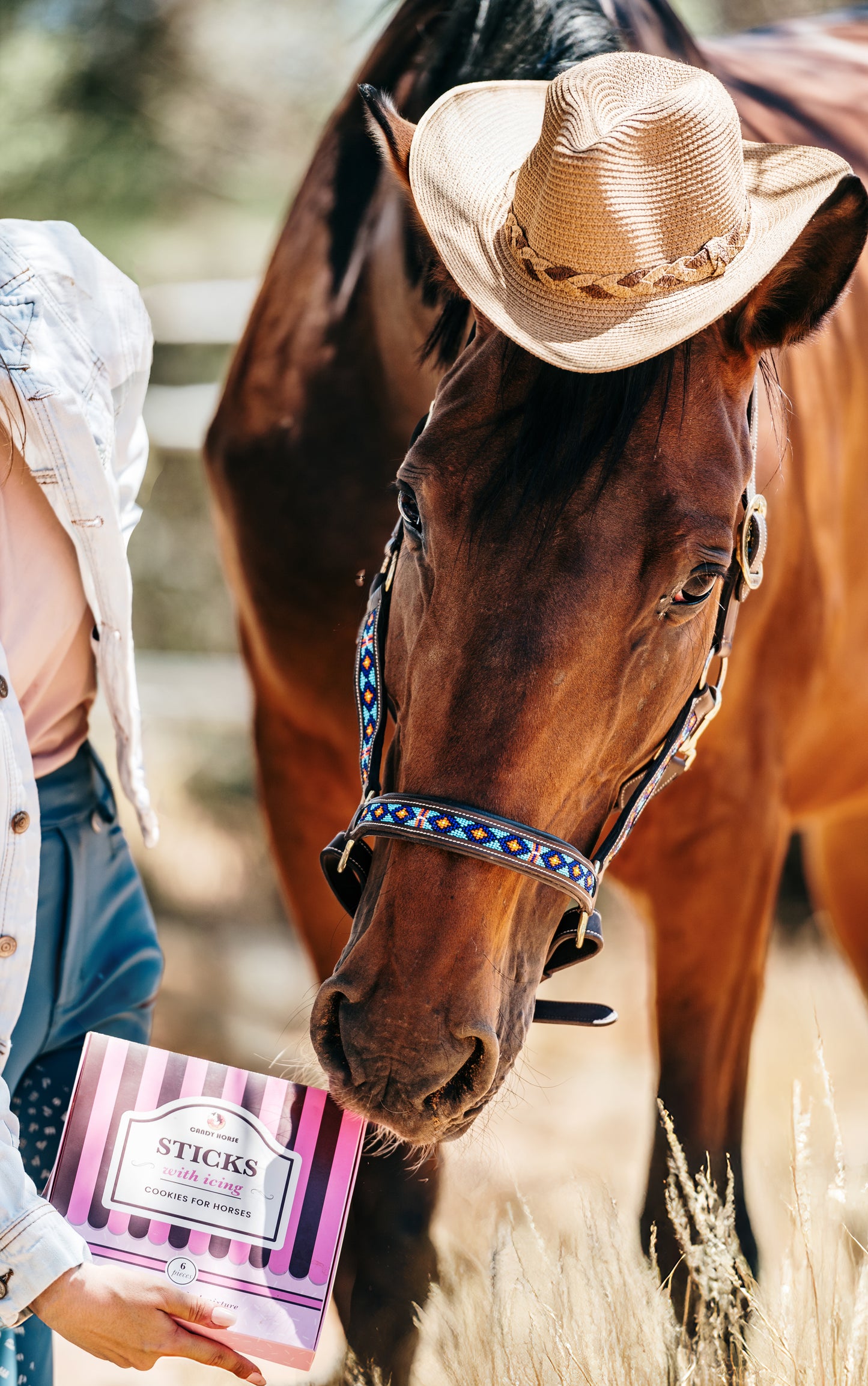 OP=OP - Candy Horse - The Farm Limited Collection - Versierde stokjes