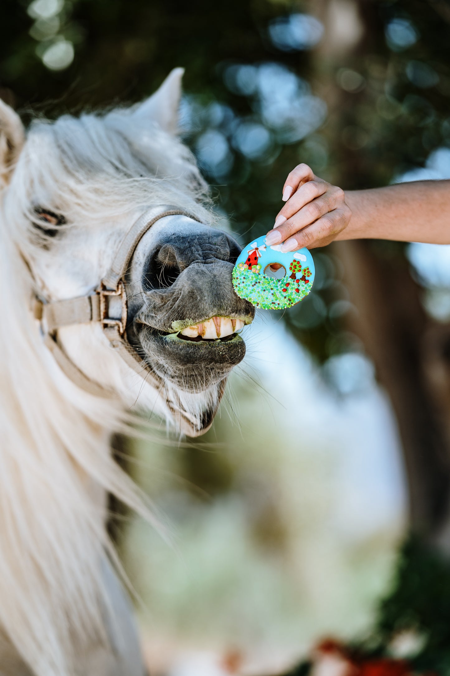 OP=OP - Candy Horse - The Farm Limited Collection - Versierde donuts 2x