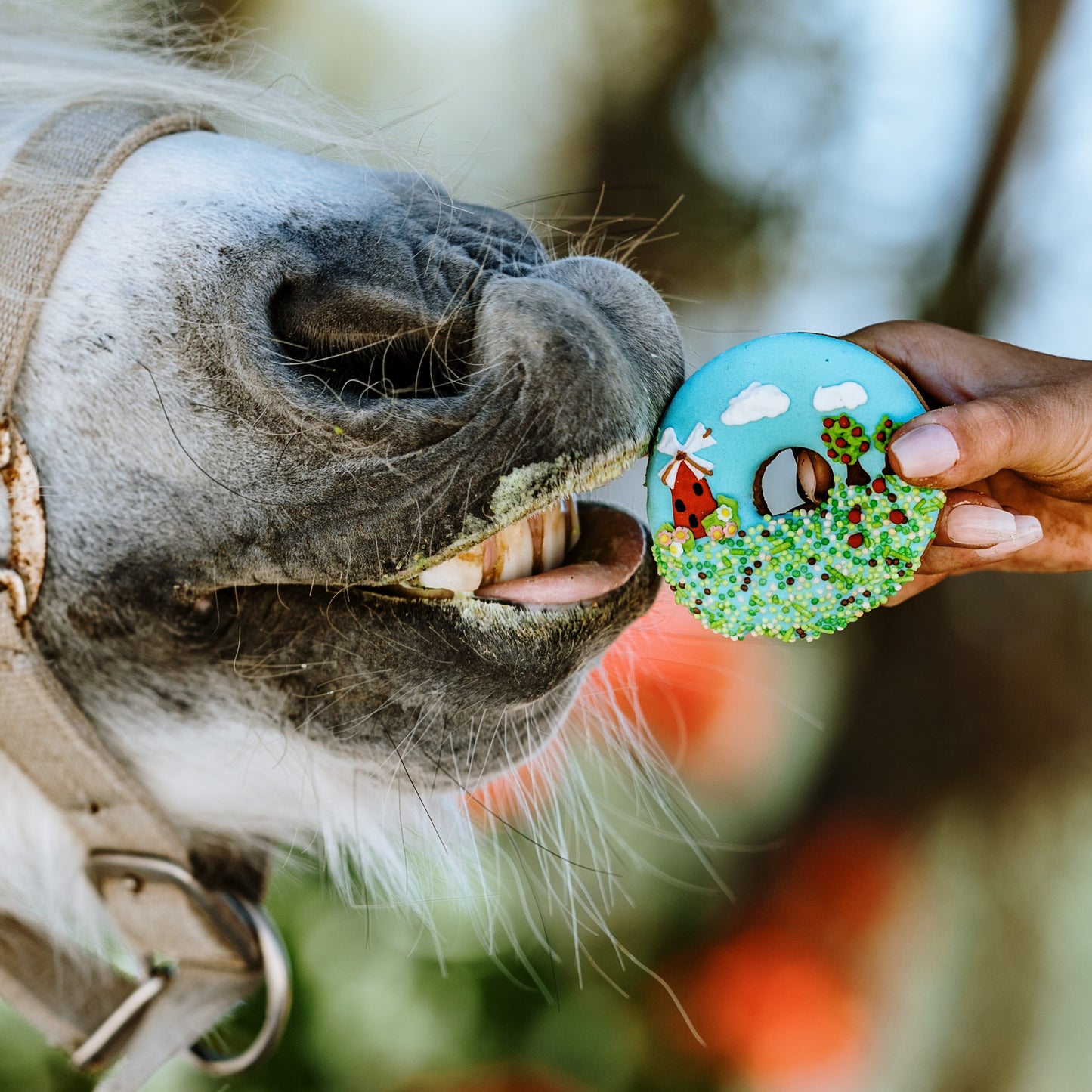 OP=OP - Candy Horse - The Farm Limited Collection - Versierde donuts 2x