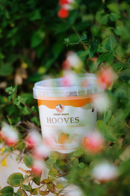 Candy Horse - Biscotti per cavalli Hooves in secchiello 1,2L