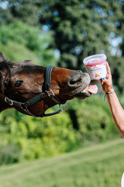 Candy Horse - Biscotti per cavalli Hooves in secchiello 1,2L