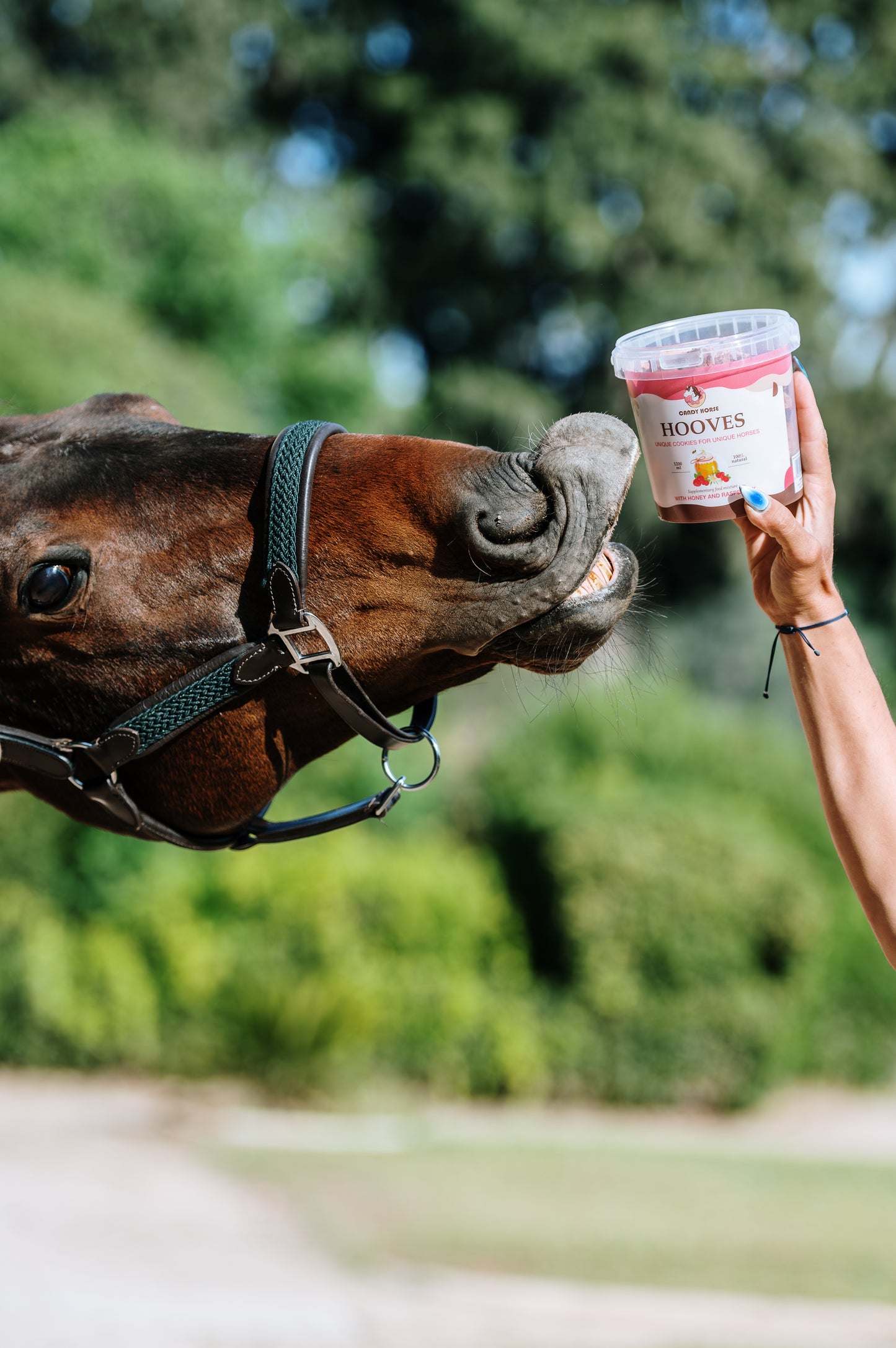 Candy Horse - Paardenkoekjes Hooves in emmertje 1,2L