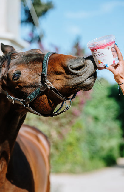 Candy Horse - Biscotti per cavalli Hooves in secchiello 1,2L