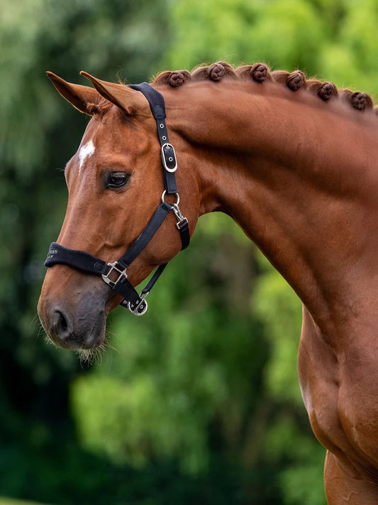 Equestrian Stockholm - FW26 Black - Anatomic Fleece Halter