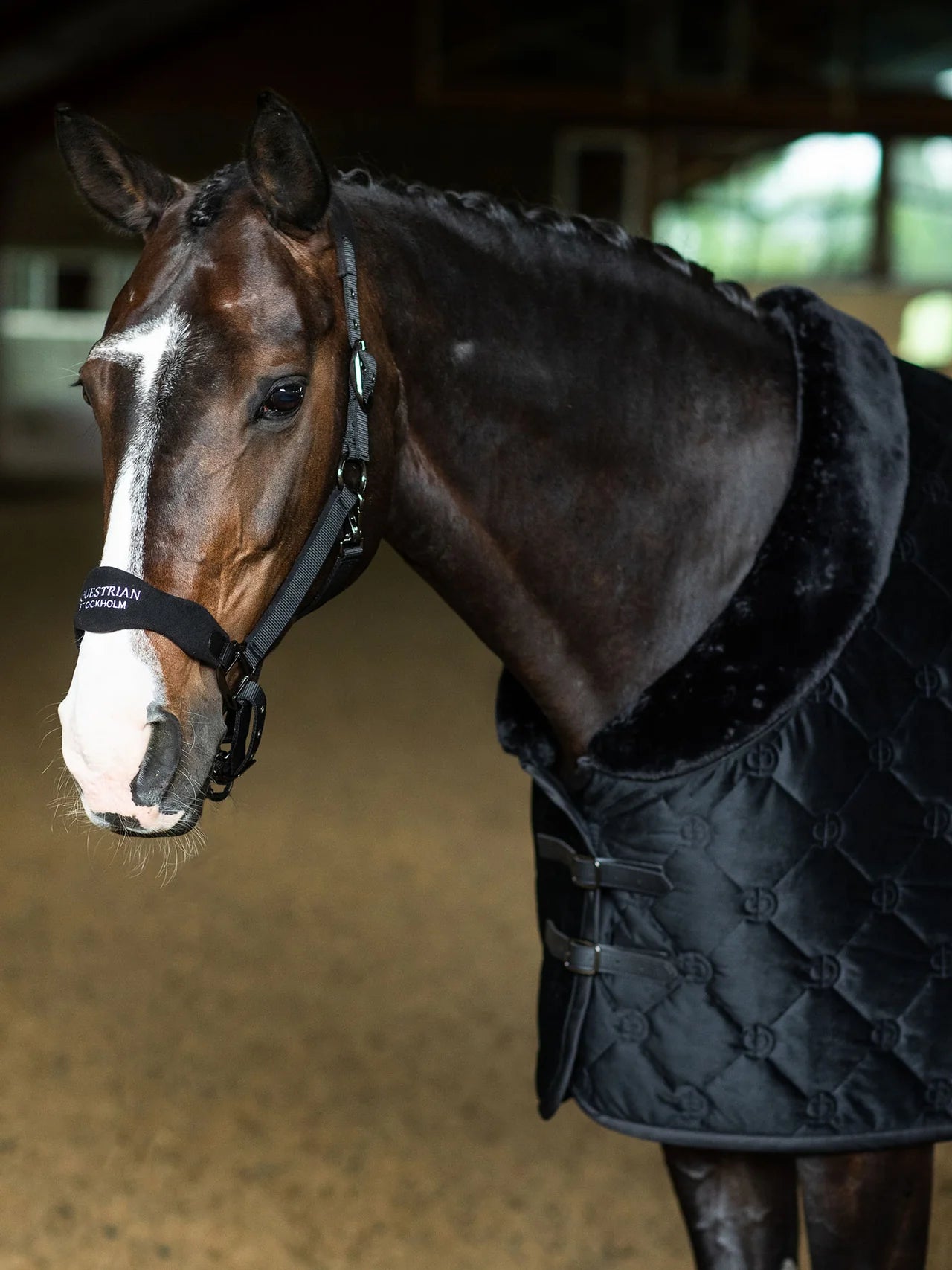 Equestrian Stockholm - FW26 Black - Anatomic Fleece Halter