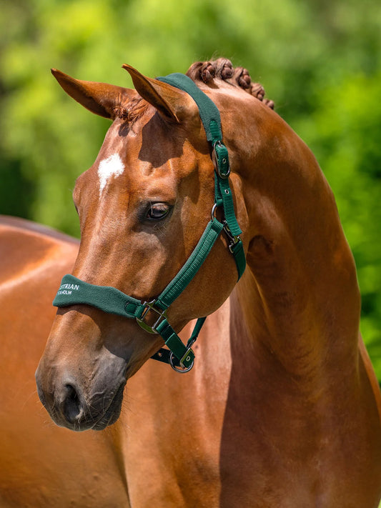 Equestrian Stockholm - FW26 Sycamore Green - Anatomic Fleece Halter