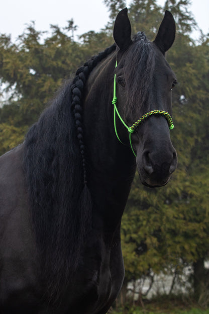 Rope halter braided noseband apple green, dark green and caramel