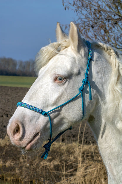 Rope halter aqua with mermaid noseband and earband