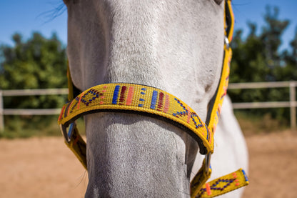 FMH - Geborduurd nylon halster met padding ‘Nomad Spirit Solar’