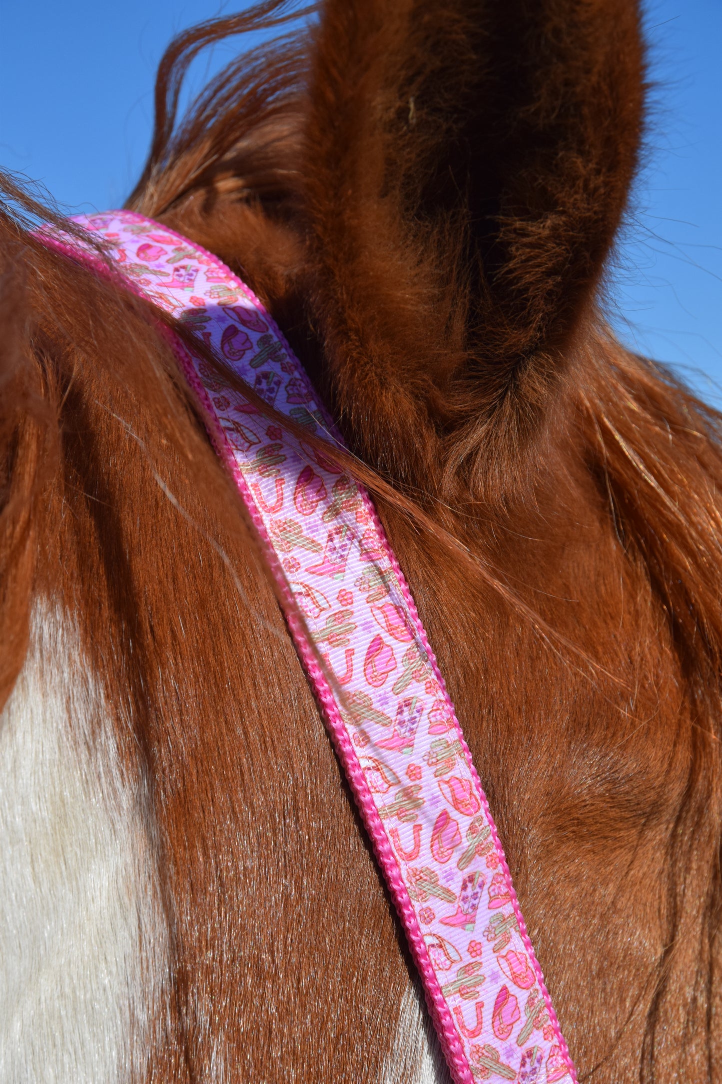 Happy Halters x FMH - Pink Cowgirl Exclusive halter div. to colour