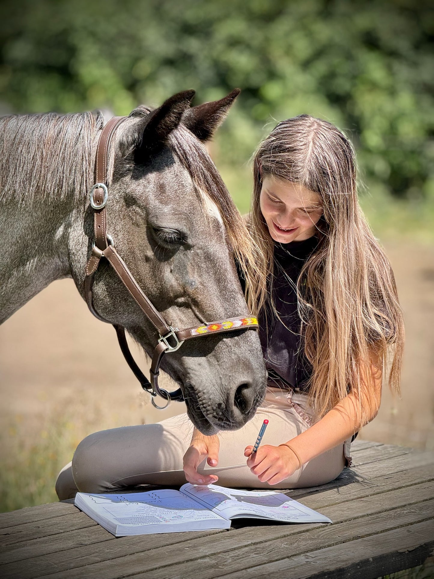 Pony Creative - Planner (EN)