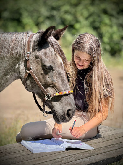Pony Creative - Planner (EN)