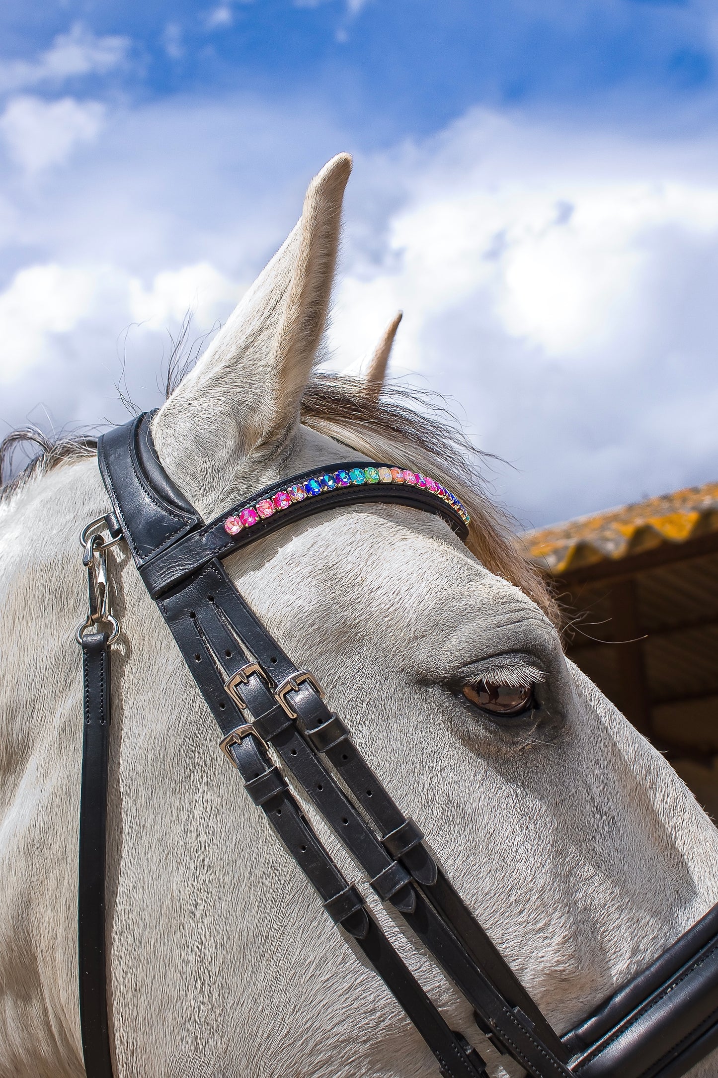 FMH - Frontriem ‘Rainbow Road’ met steentjes in regenboog kleuren